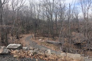 Path up Sleeping Giant State Park