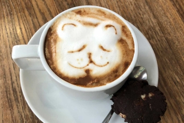 Cat-in-our-cappucchino-in-newport-city