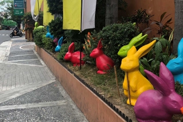Bunnies-at-easter-outside-Shrine-of-St