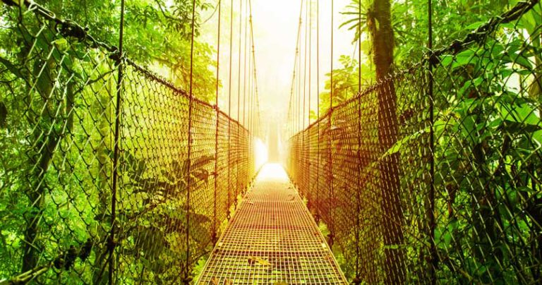 A canopy bridge in Costa Rica, feature image for our page on places we'd love to visit.
