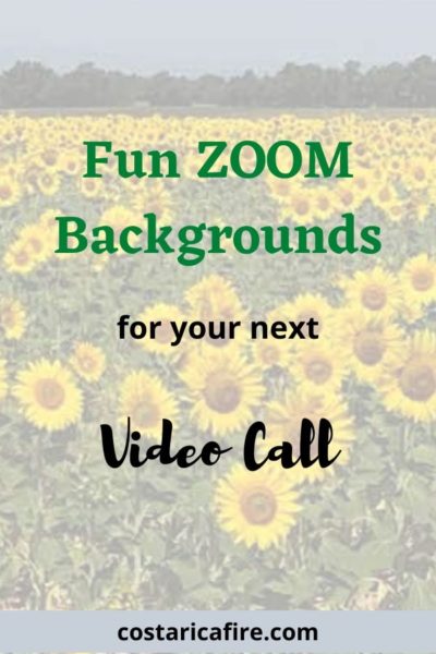 Fun Zoom Backgrounds For Your Next Video Call