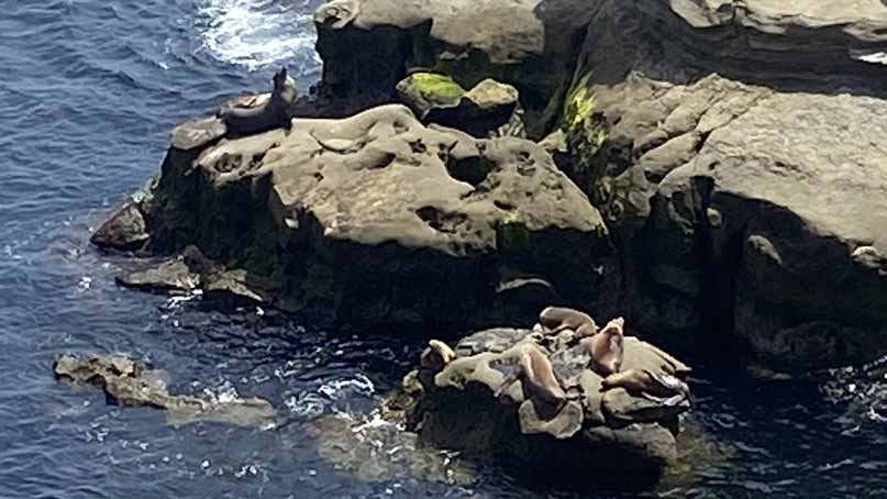 Big rocks below with seals laying out