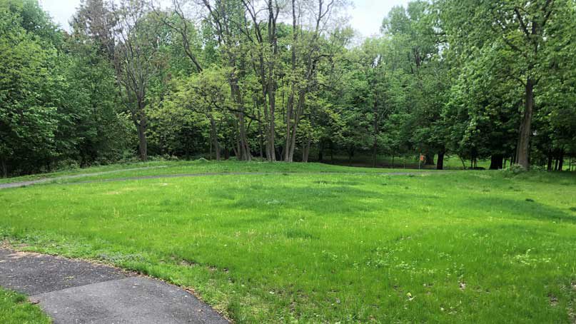 One of the meadows at Lenoir Preserve