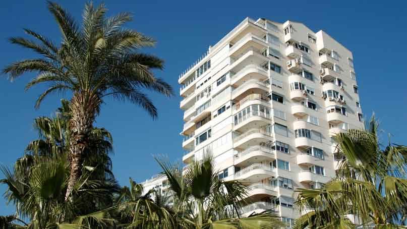 White apartment building with palm tree in foreground
