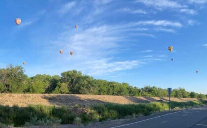 hot air balloons in the air