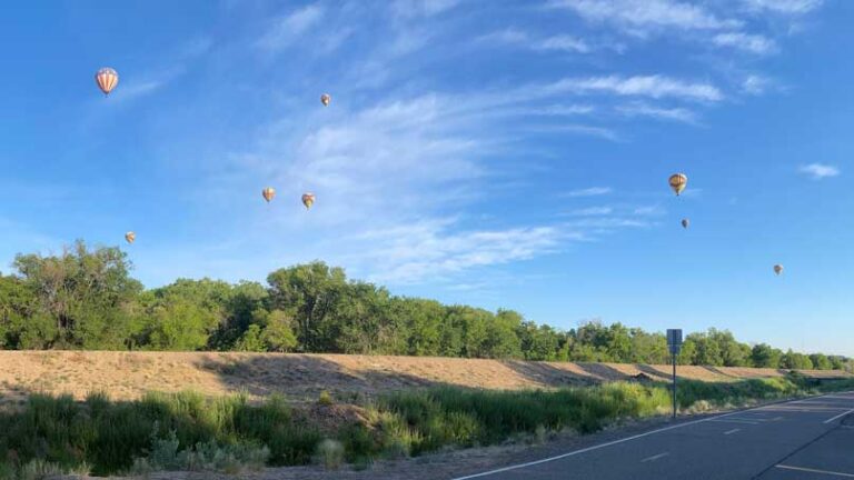 hot air balloons in the air