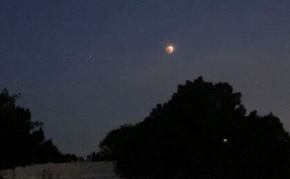 lunar eclipse over a tree