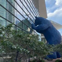 giant bear statue looking into a building