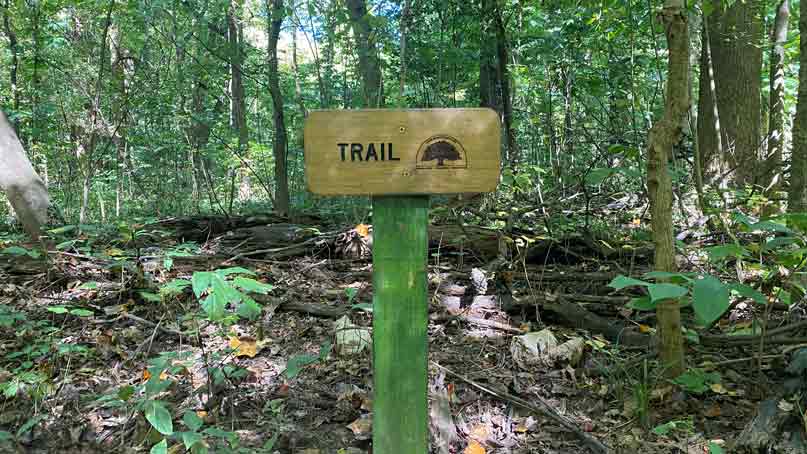 sign in the forest that says 'trail'