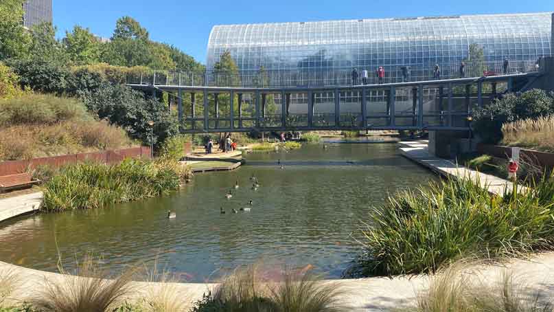 wide view of a small lake in a botanical garden setting