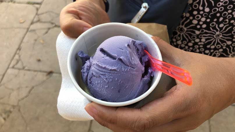 scoop of lavender ice cream - purple