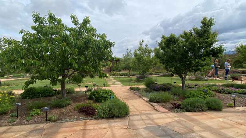 fruit trees in a park
