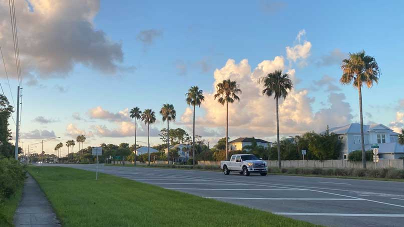 palm trees and clouds, with road in the foreground