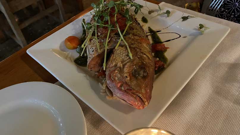 giant red snapper on a plate