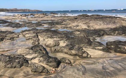 The rocks at low tide at Tamarindo are really nice - at high tide you won't even see them