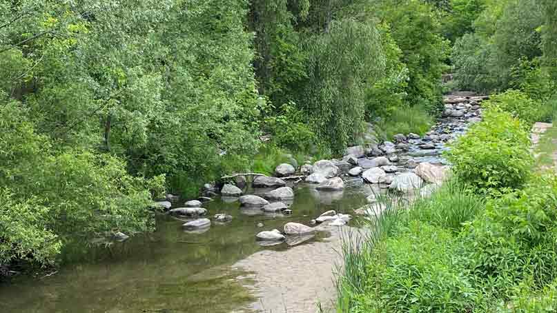 stream with large rocks