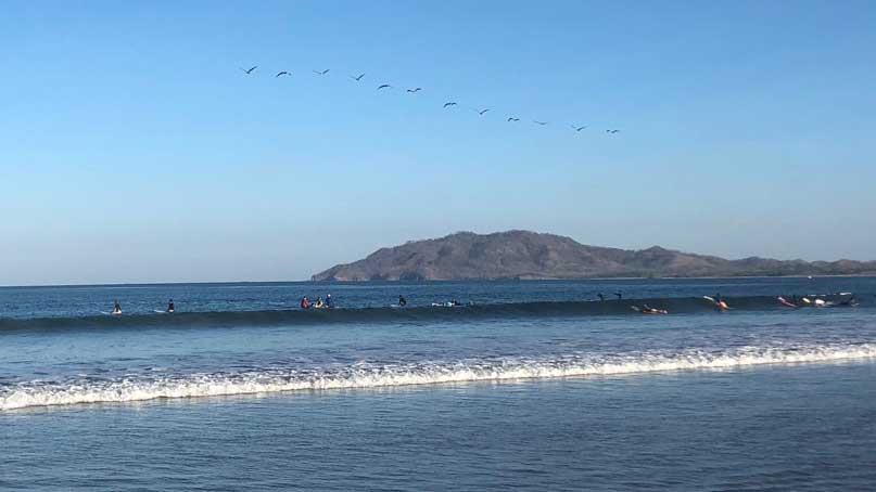 From the beach - can see water, mountains and birds